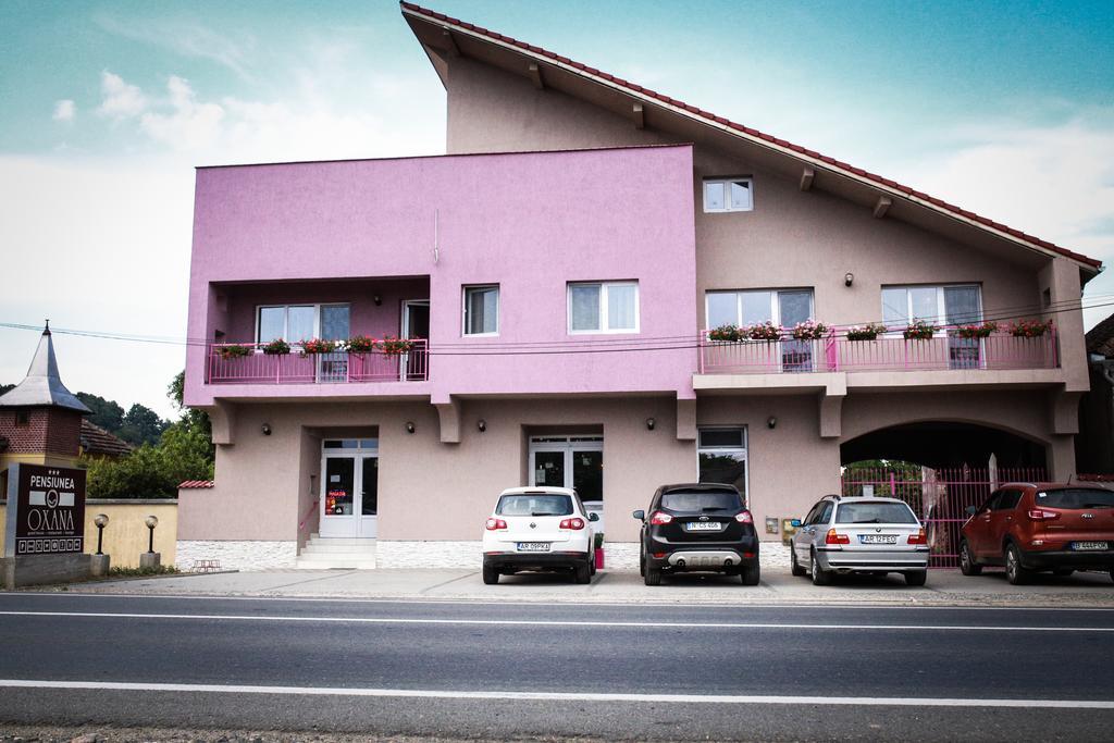 Pensiunea Oxana Lipova Exterior foto